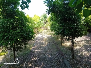 خرید ویلا فلت 60 متری در سرخرود خرید ویلا فلت 60 متری در سرخرود